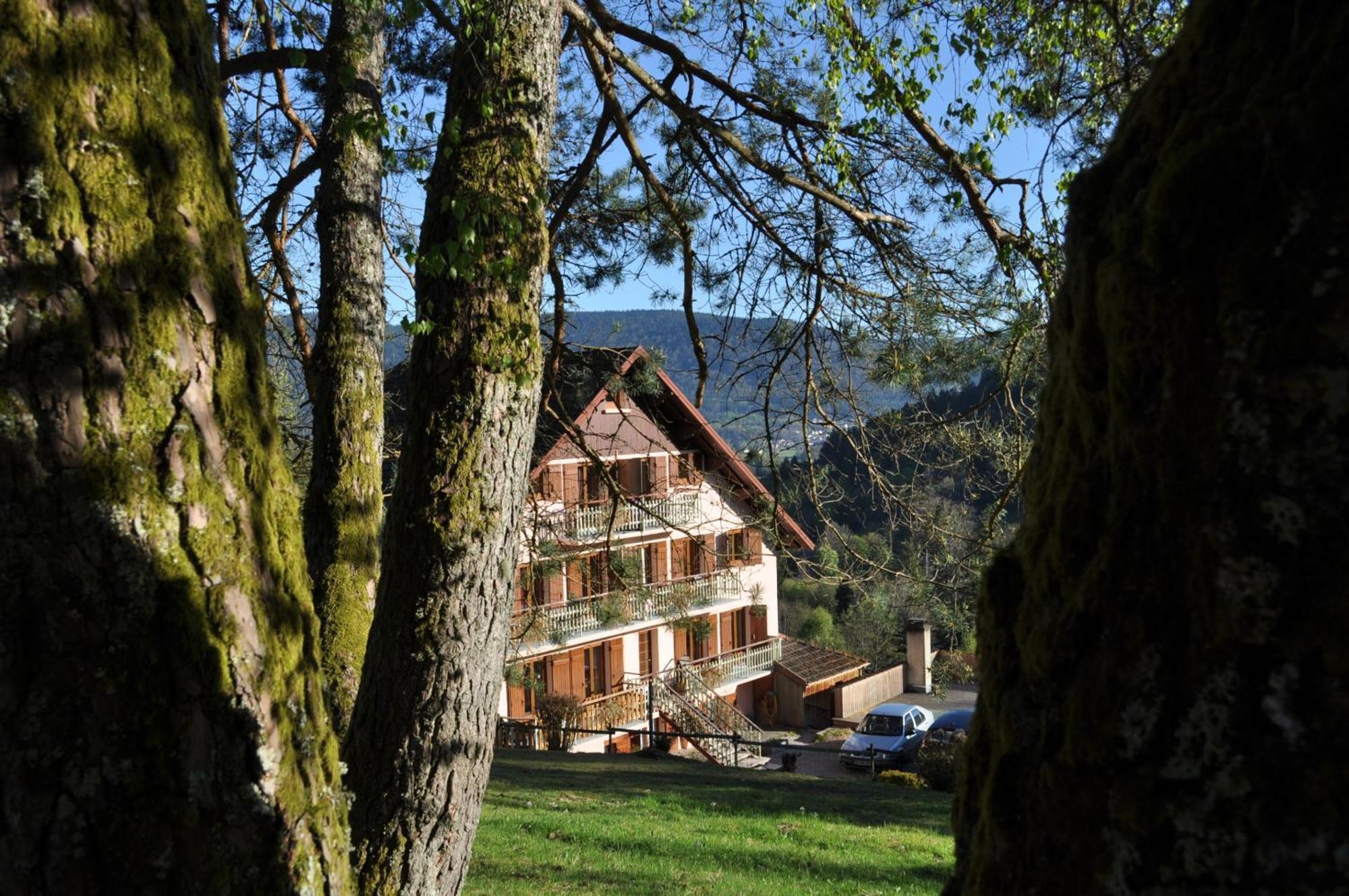 A L'Oree Du Bois Dommartin-les-Remiremont Ngoại thất bức ảnh